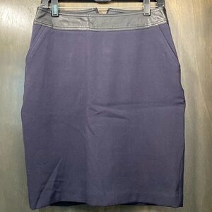 Beautiful Worthington tailored skirt size 8
